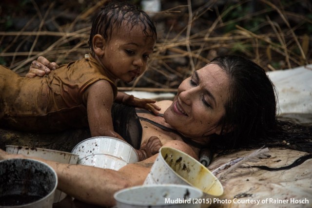 MudbirdRainerHosch copy